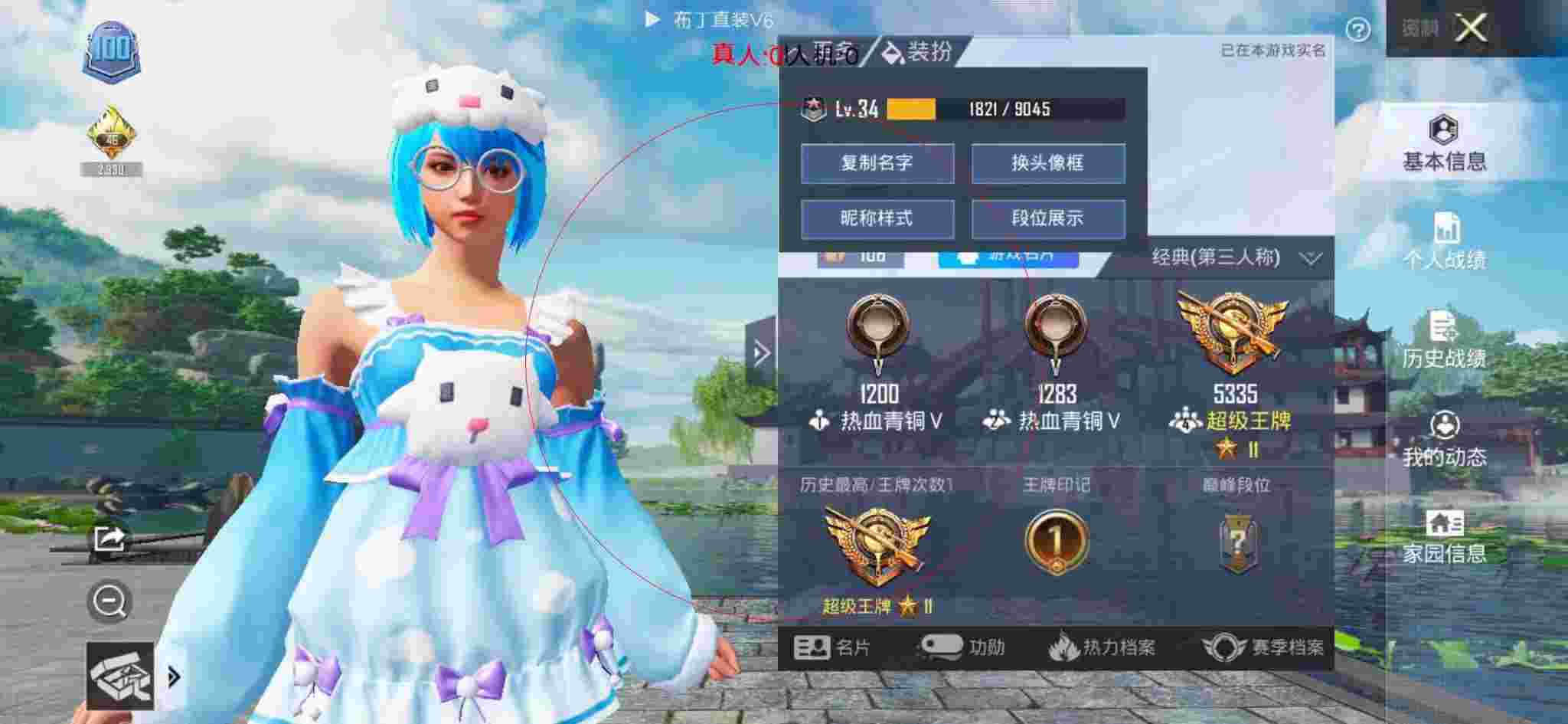 和平精英布丁直装透视 - 和平精英风行者单排辅助出装辅助预览图